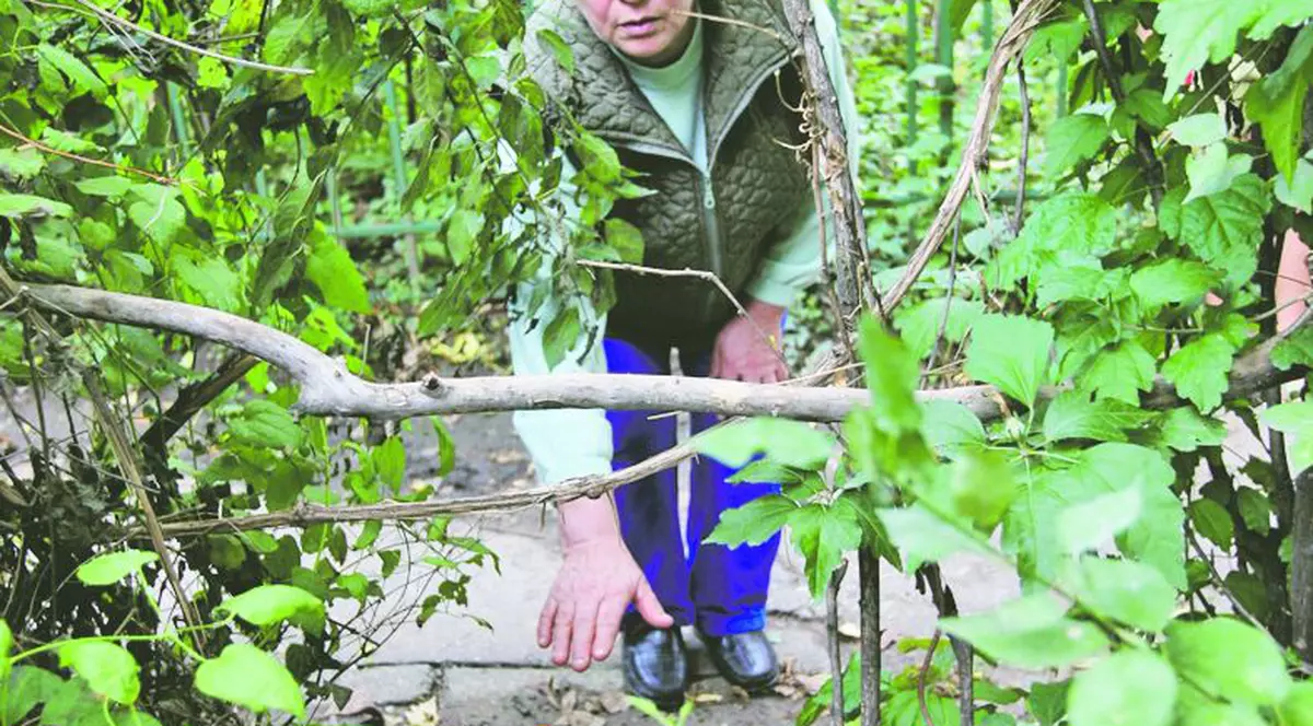 Bebeluş găsit mort în boscheţi