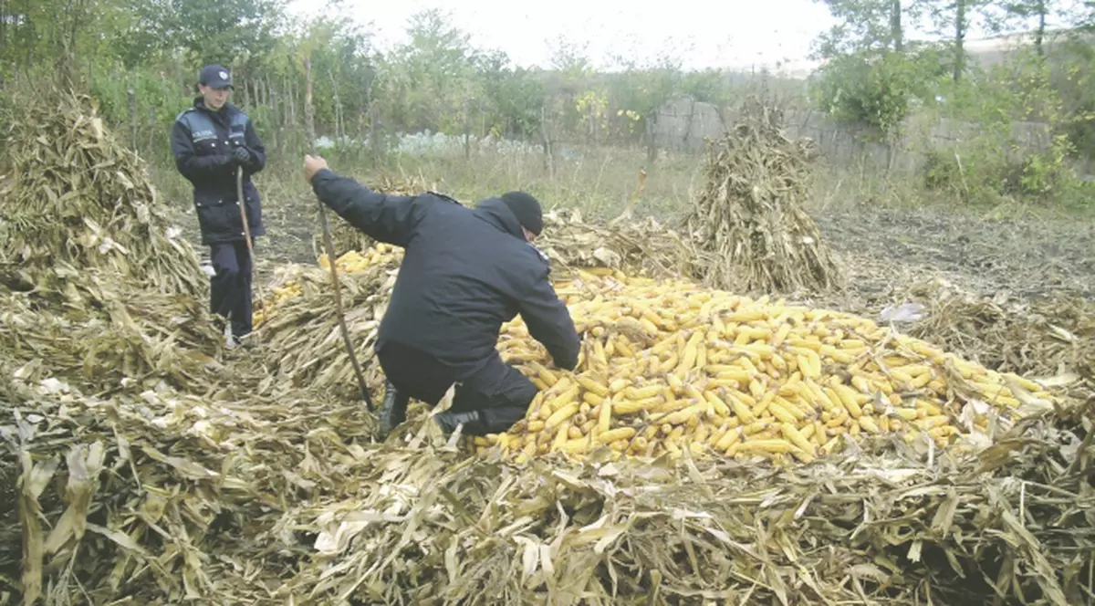 O caută şi-n gaură de şarpe