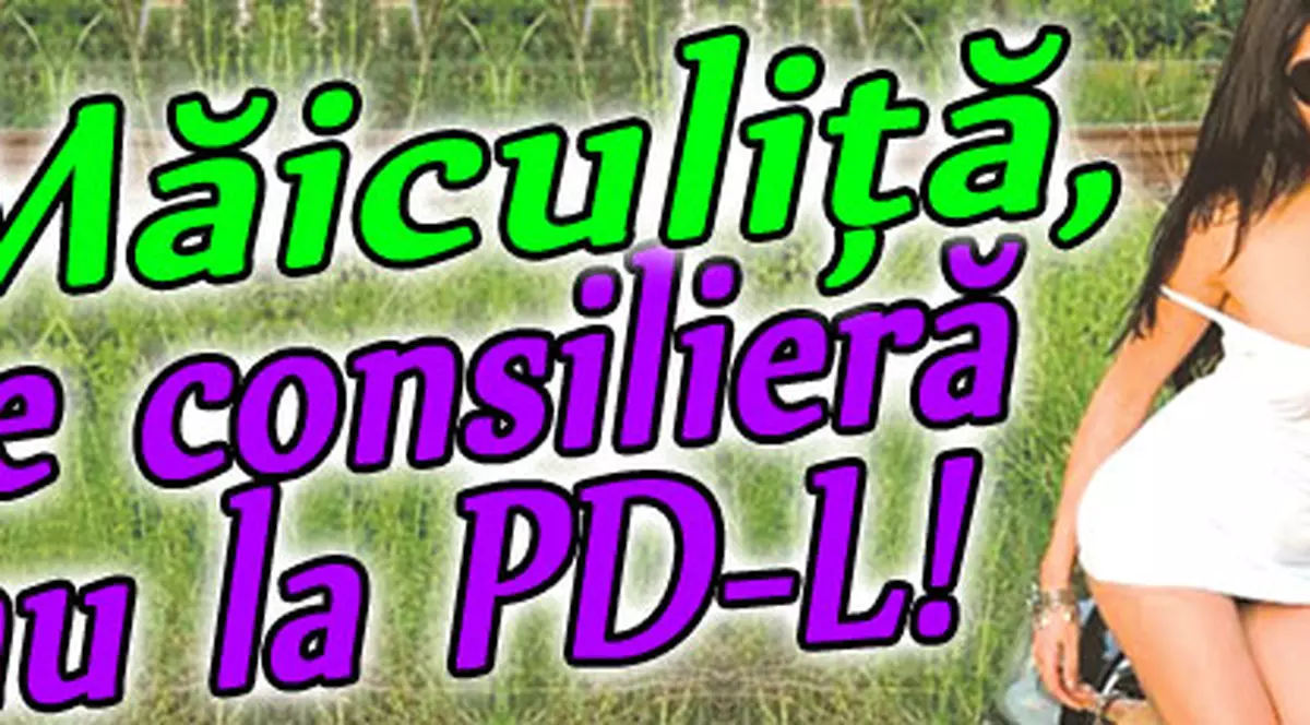 Măiculiţă, ce consilieră au la PD-L!