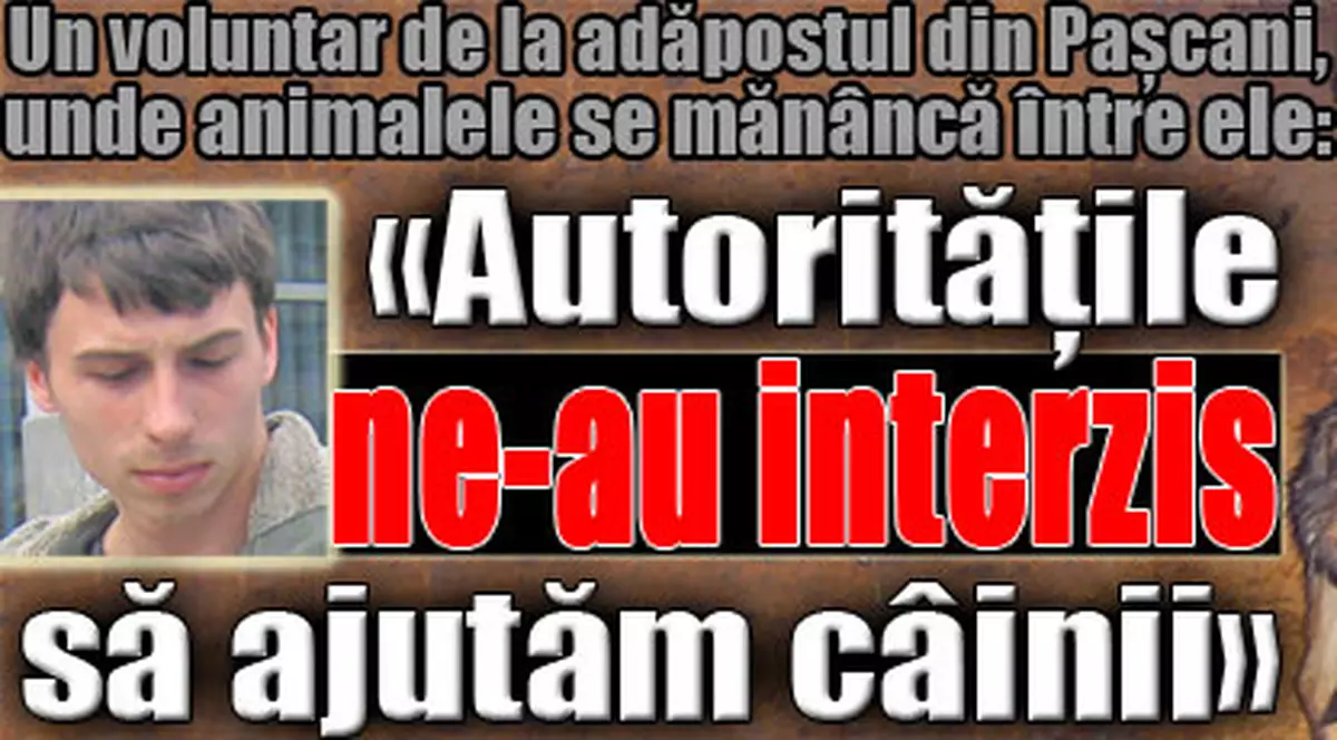 «Autorităţile ne-au interzis să ajutăm câinii»