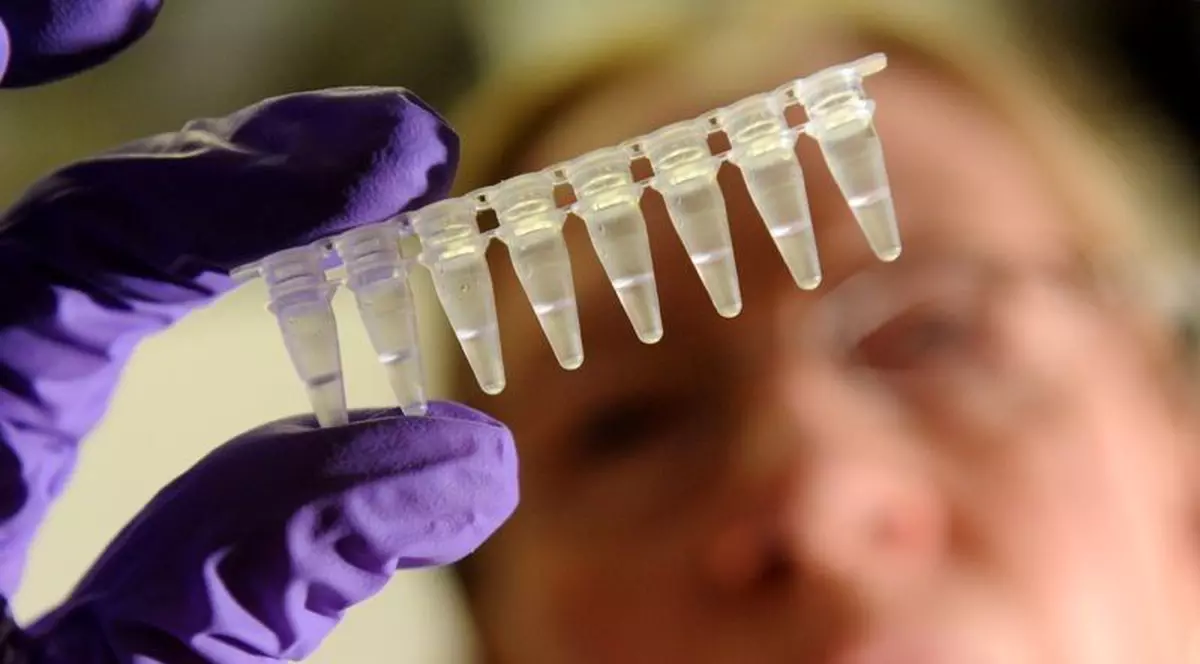 Moldova confirmă cel de-al doilea deces cauzat de gripa porcină