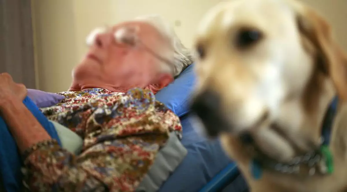 Un câine şi-a resucitat stăpânul care a făcut un stop cardiac