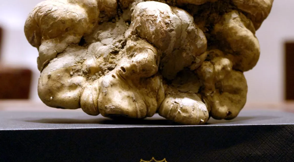 100.000 de dolari pentru o trufă albă