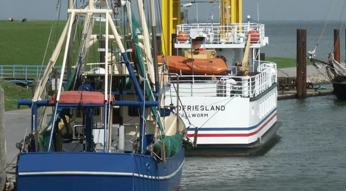 Două nave s-au ciocnit pe Dunăre