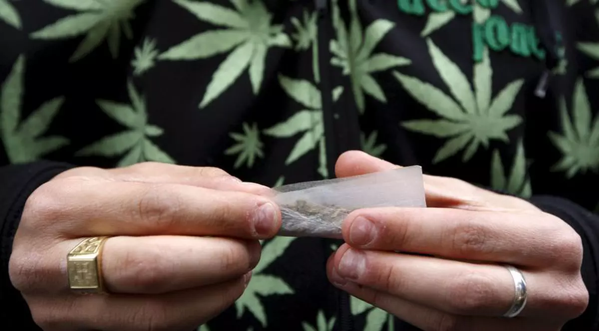 Un român, ucis de proprietarii unei culturi de cannabis în timp ce fura droguri