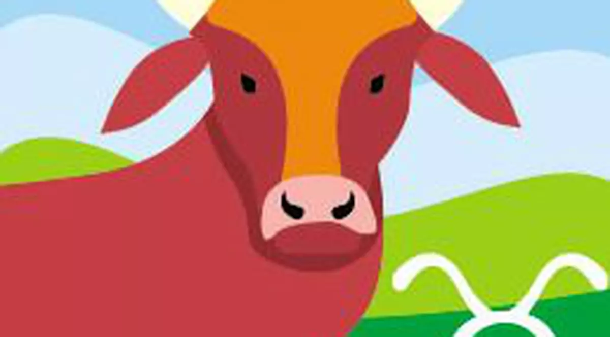 Taurii, puşi pe ceartă