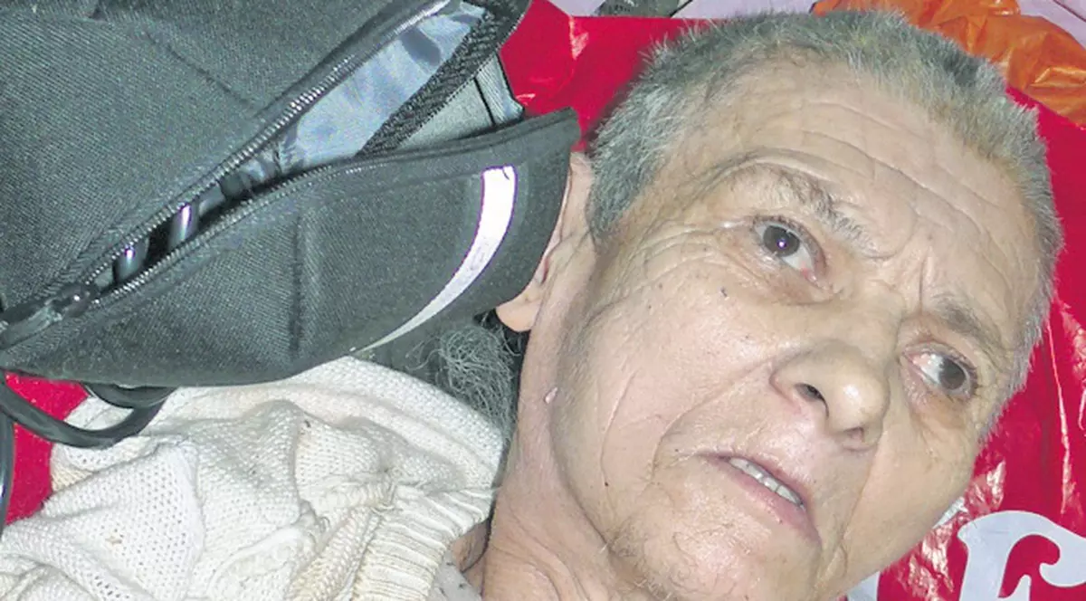 Putrezea de vie în casă