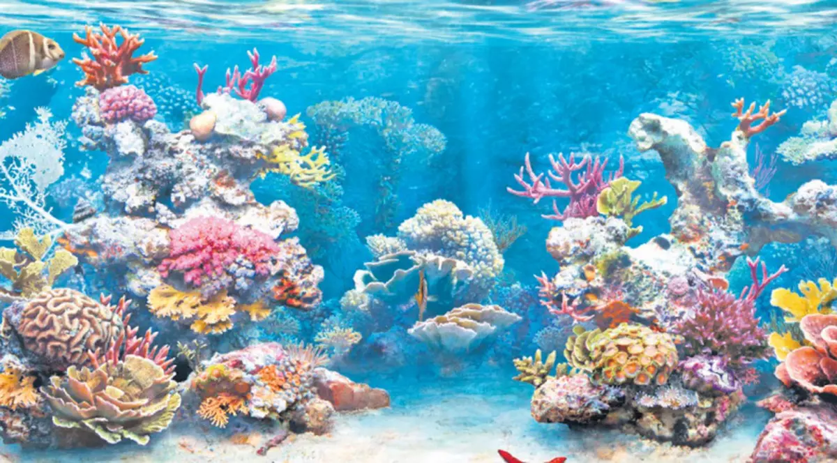 Fenomenul care îngrijorează oamenii de știință. Ce se întâmplă acum într-un arhipelag din Oceanul Pacific