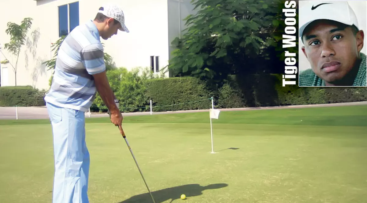 Modelul: Tiger Woods