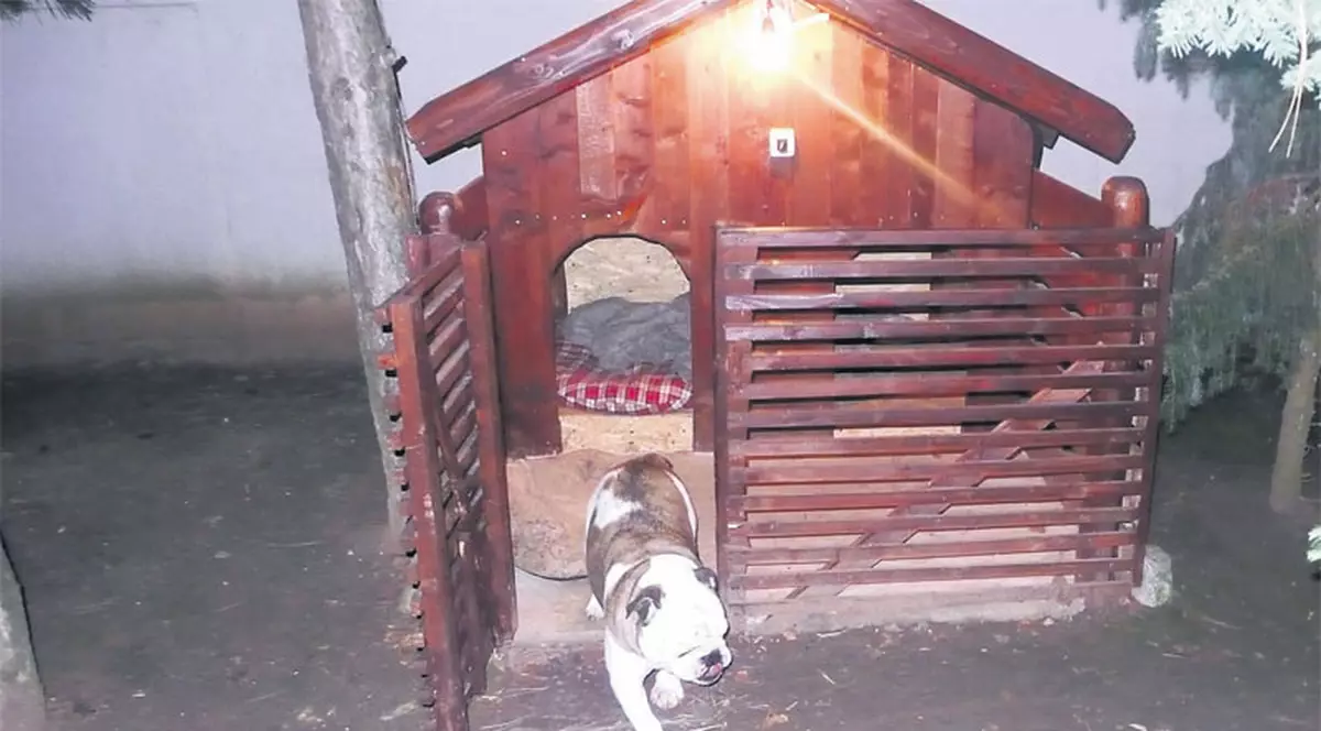 A dat 2000 de euro pentru o cuşcă de lux