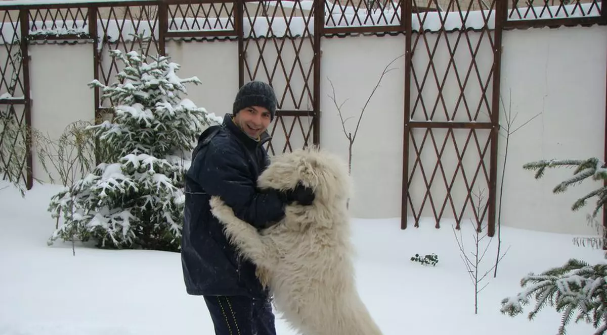 Pe câinele lui Dan Negru îl cheamă Google