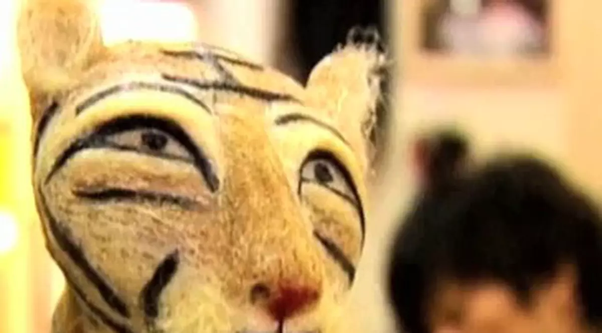 Face tigri din păr uman / Video