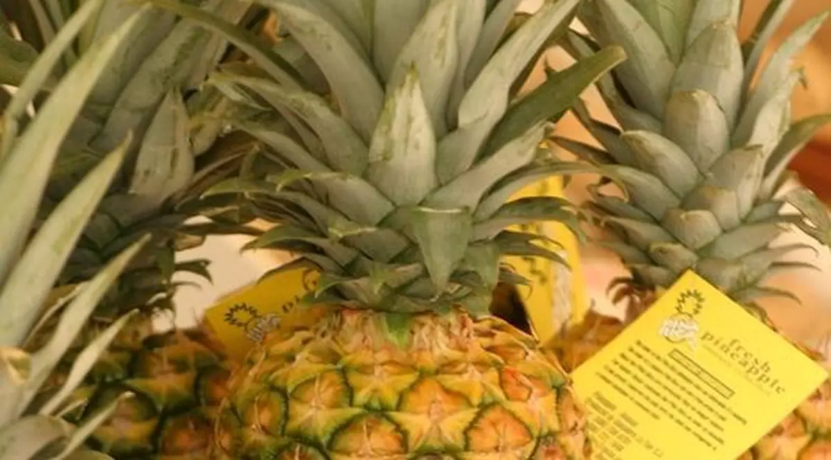 Au ascuns 900 de kilograme de cocaină în ananas
