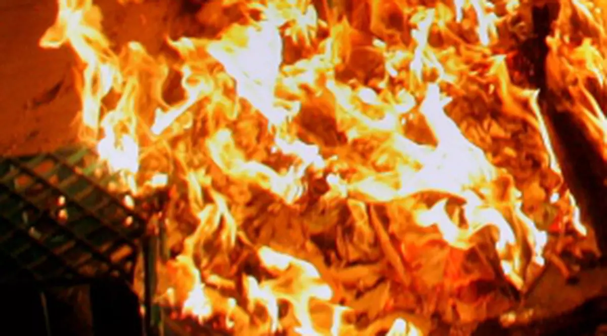 Ars în propria casă