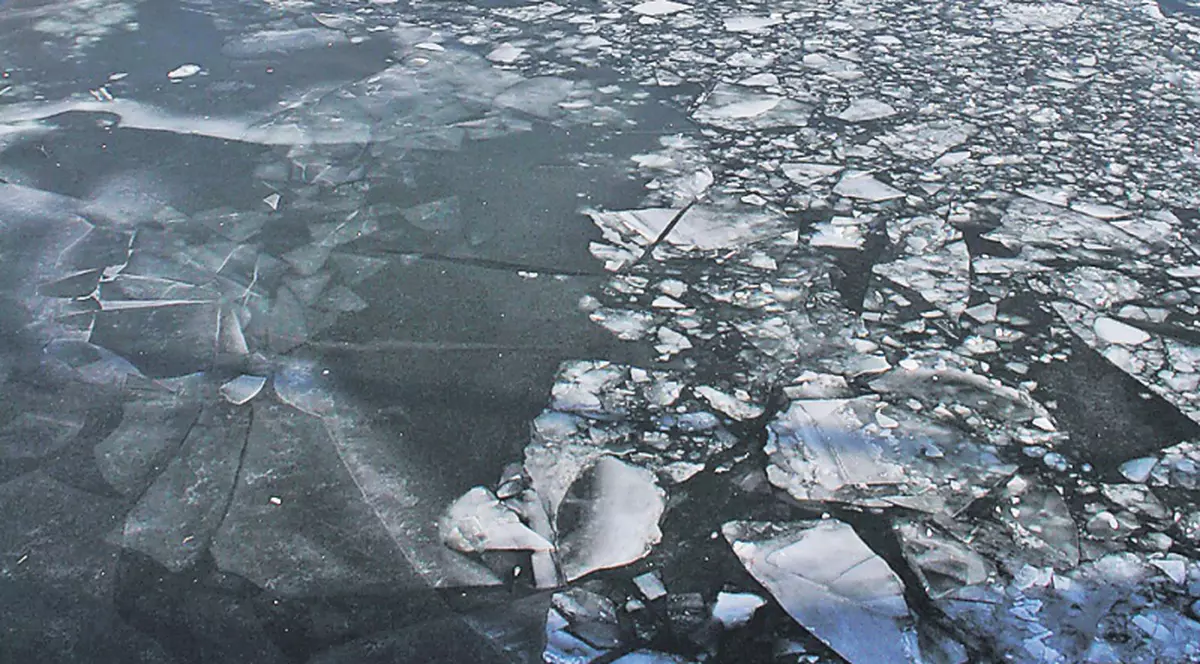 Video / Executaţi în stil mafiot, pentru bani