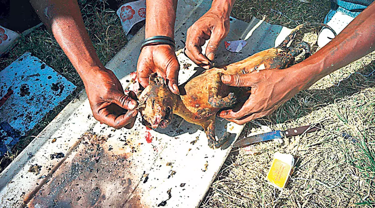 Românii dau 420.000 € pentru Haiti