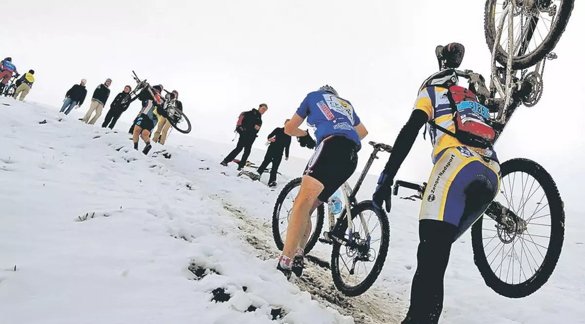 Trag de ei până cad laţi