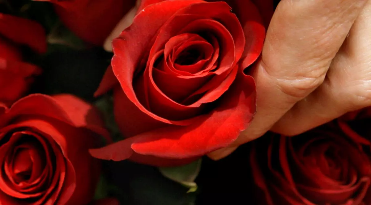 Au ascuns cocaina în trandafirii de Sfântul Valentin