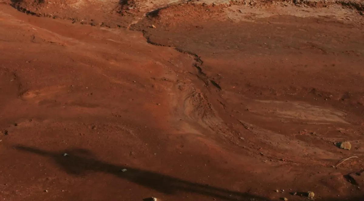 Poluare cu ţiţei, în Constanţa