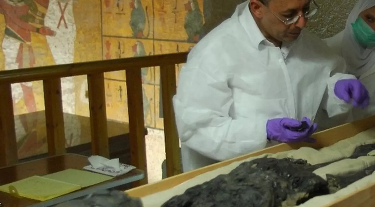 Se caută tată pentru faraonul Tutankamon 