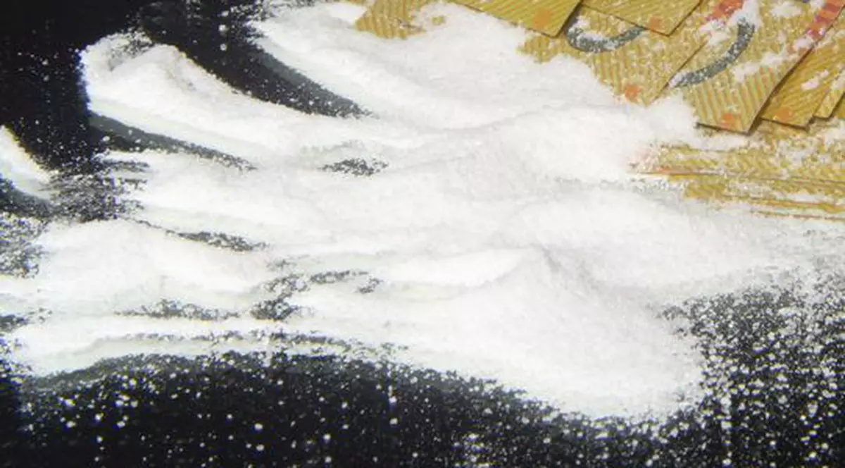 90 de kilograme de cocaină, capturate la Arad