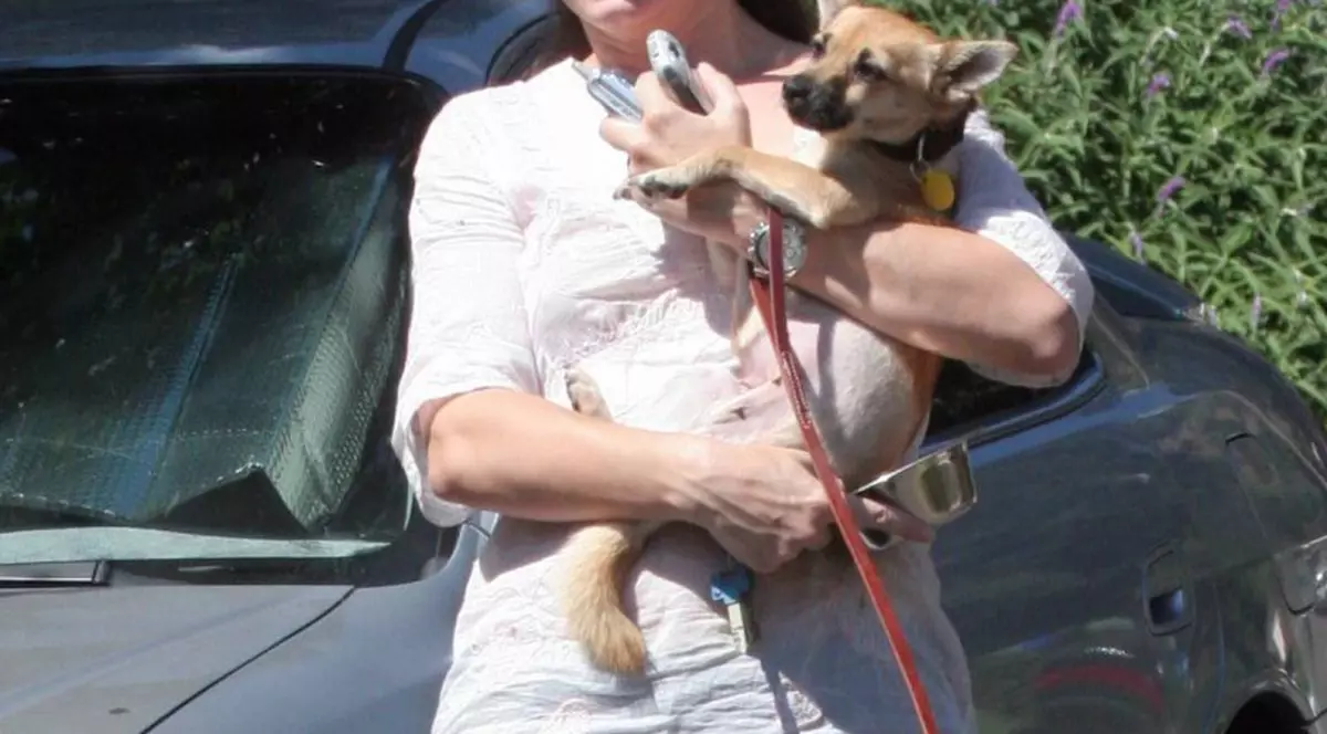 Sandra Bullock şi-a găsit câinele pierdut