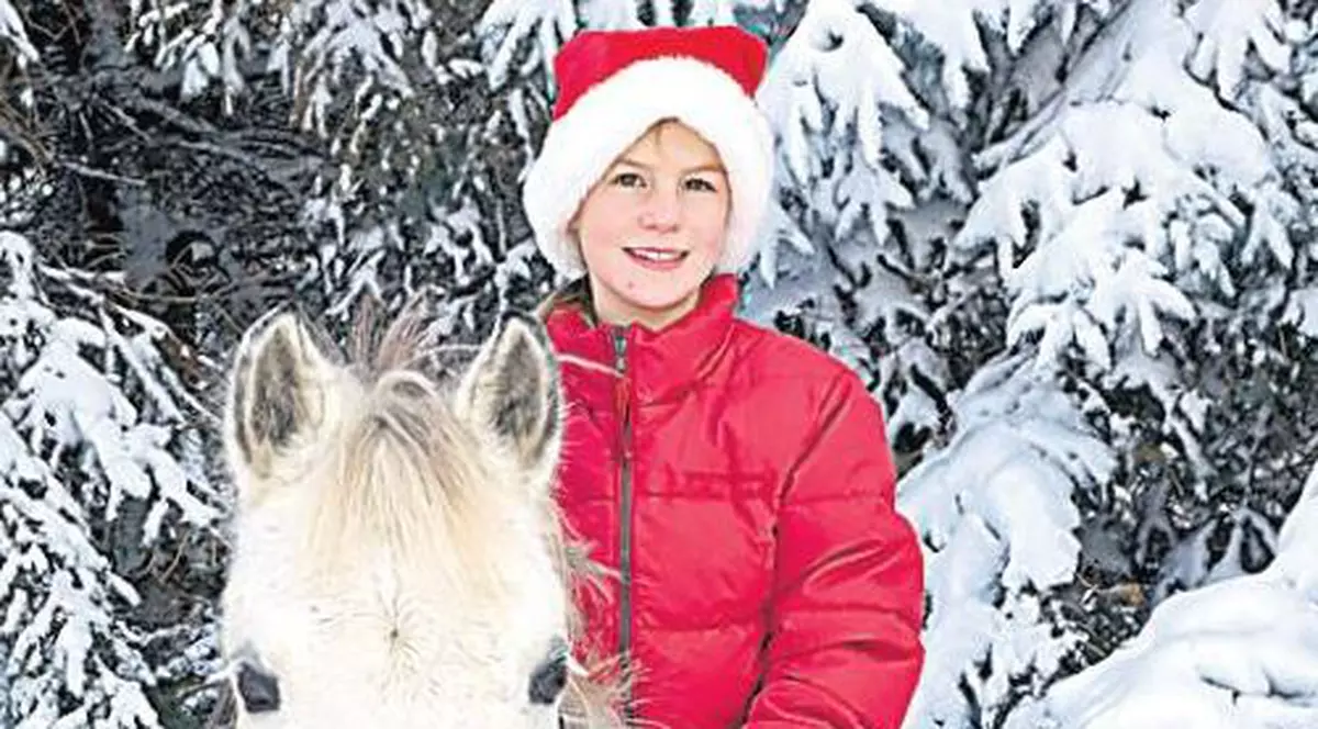 Căluţii abandonaţi, la dispoziţia bucureştenilor