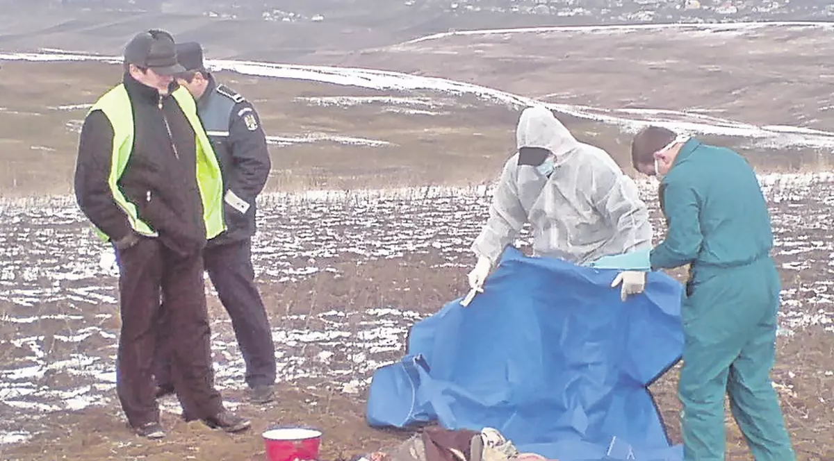 Un bărbat a fost găsit mort după ce l-a atacat o haită de câini
