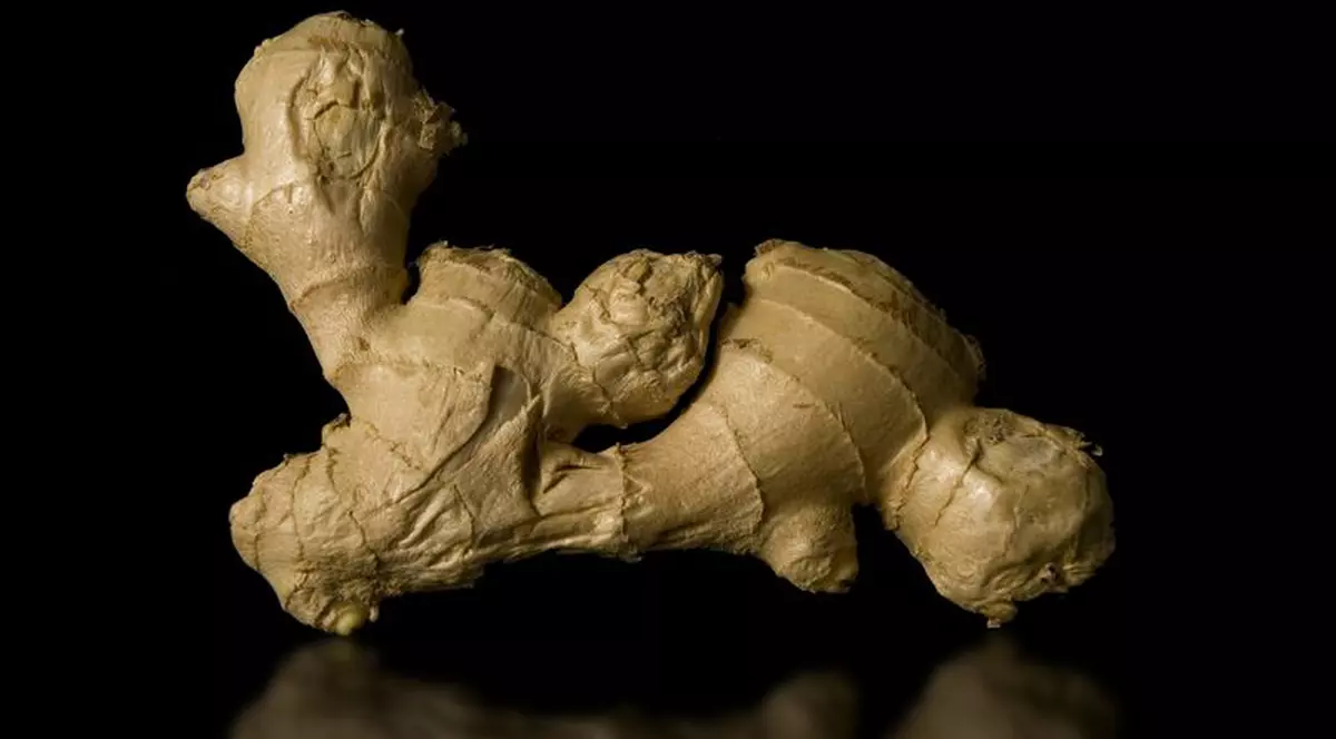 Ghimbirul luptă împotriva asteniei de primăvară