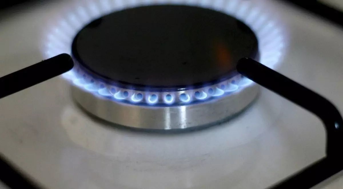 Preţul electricităţii va fi menţinut anul acesta, dar gazele se pot scumpi