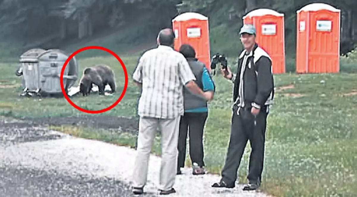 Animalele s-au mutat în oraş!