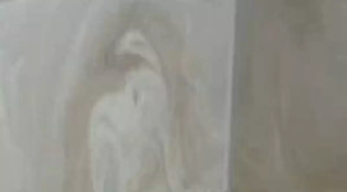 I-a apărut Fecioara Maria în baie / Video