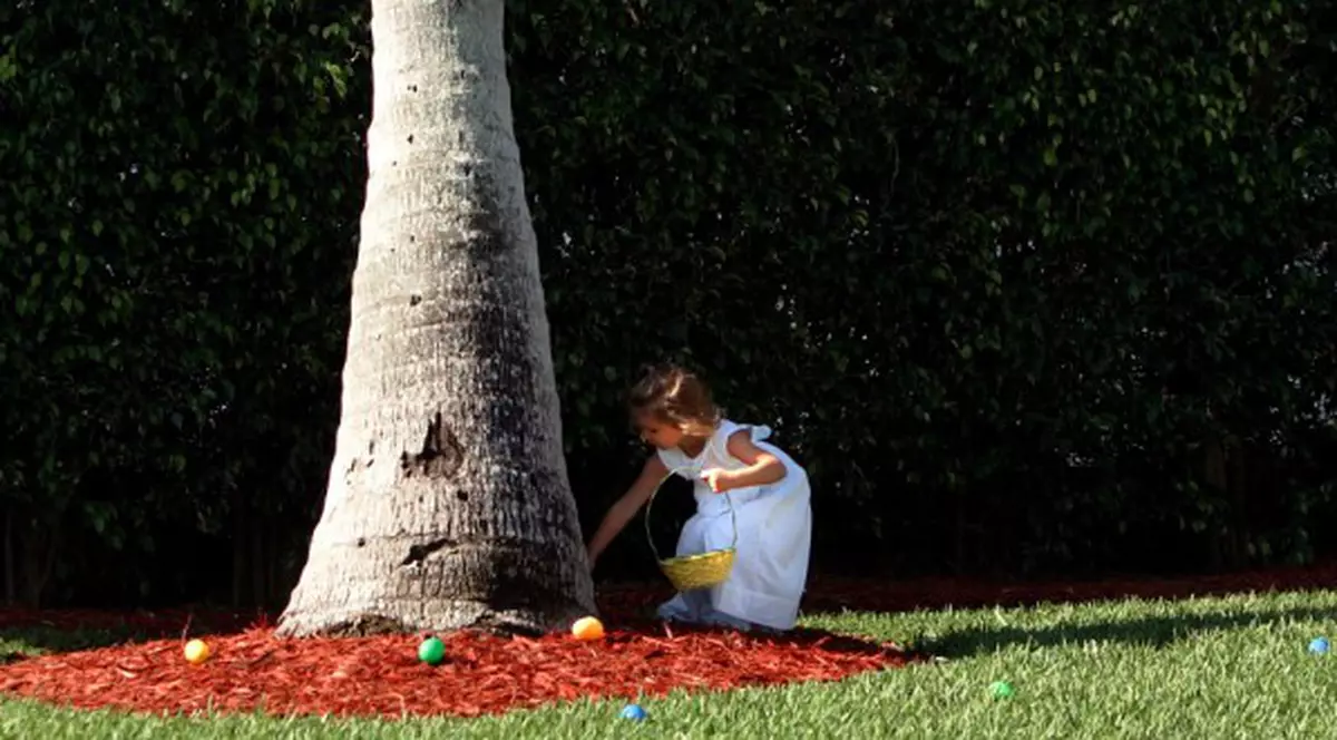 Căutau ouă de Paşti dar au găsit un cadavru