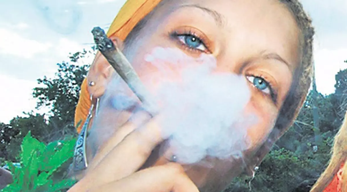 Campusurile studenţeşti, cuiburi de drogaţi