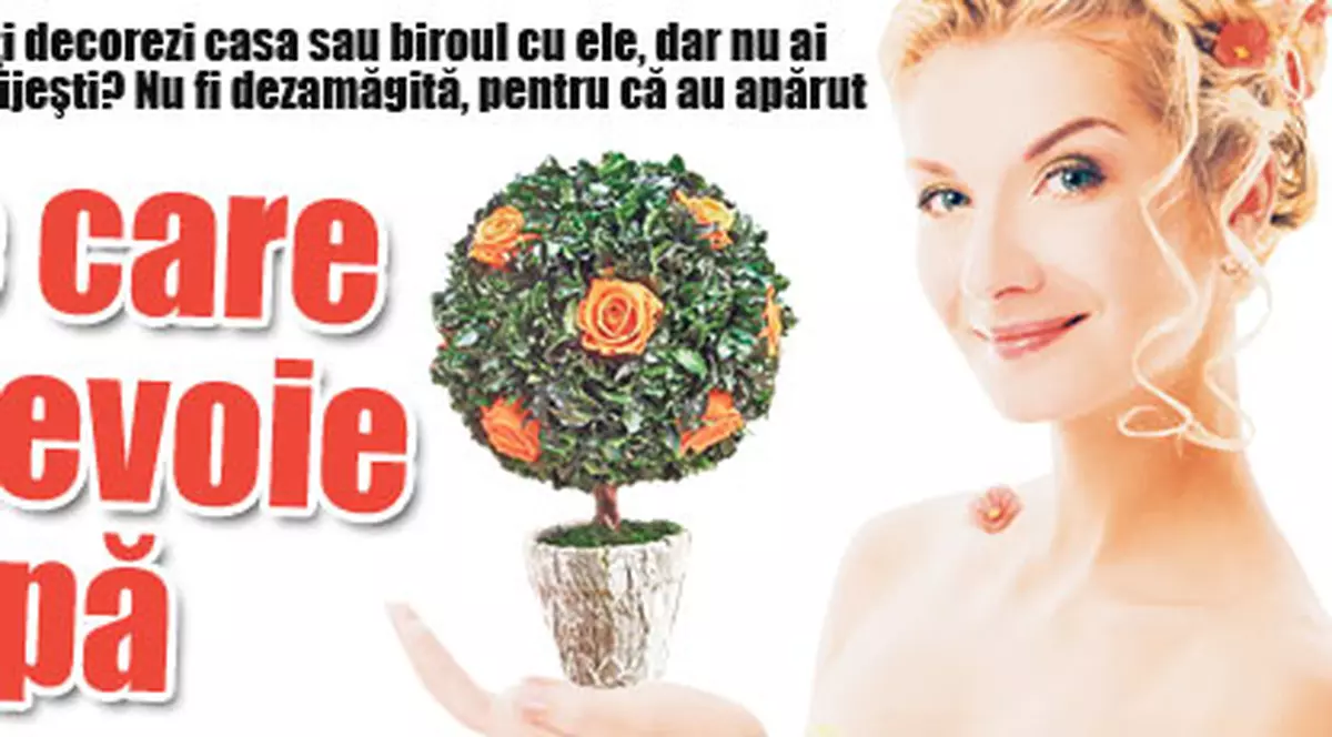 Florile care nu au nevoie de apă