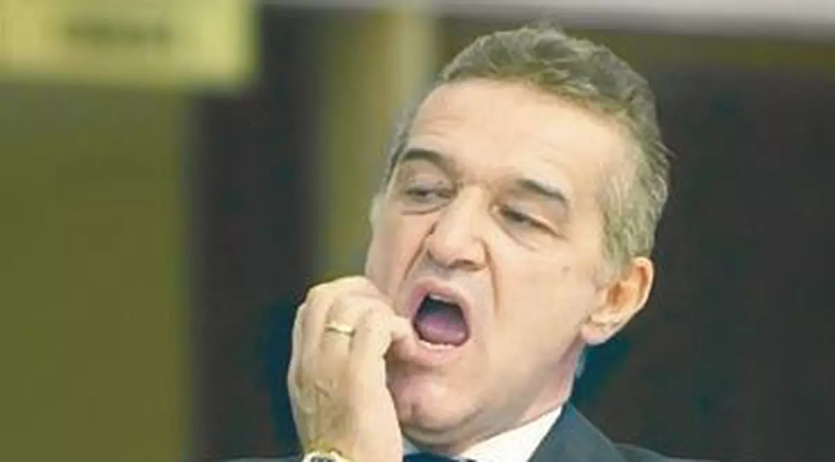 Gigi Becali: "Gărzile mele nu s-au atins de infractori"