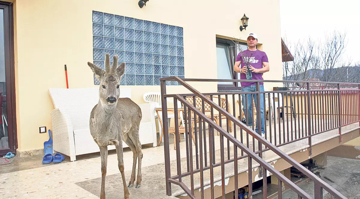 Cosmin de la t-Short şi-a umplut curtea cu animale