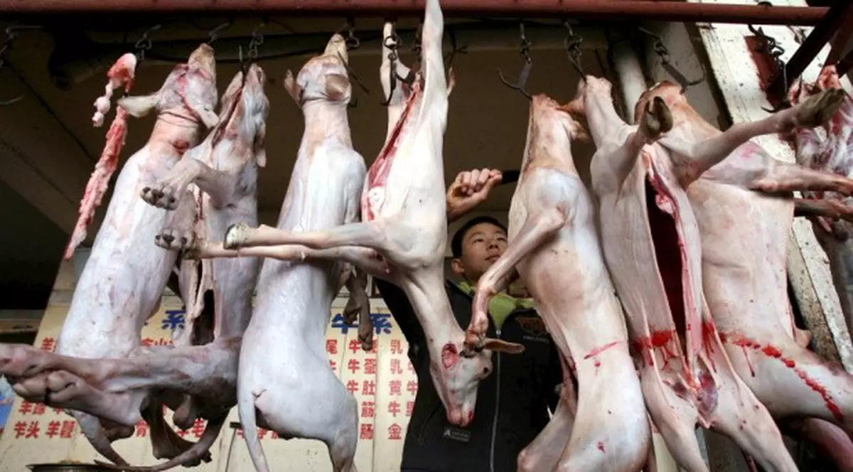 Carnea de câine, în meniul astronauţilor chinezi