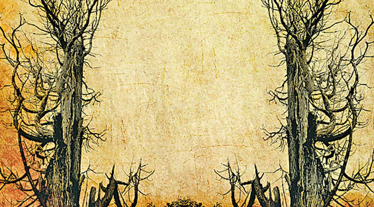 Fenomene stranii în Munţii Buzăului