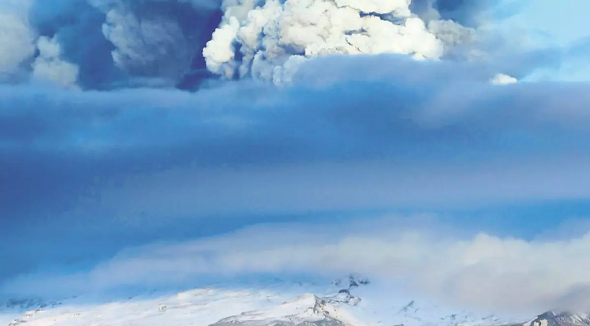 Norul de cenuşă, din nou în România!