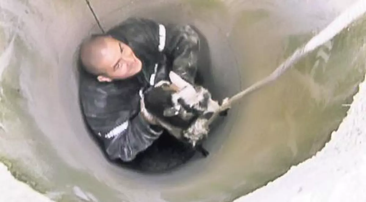 El şi-a salvat "fratele" căzut în canal