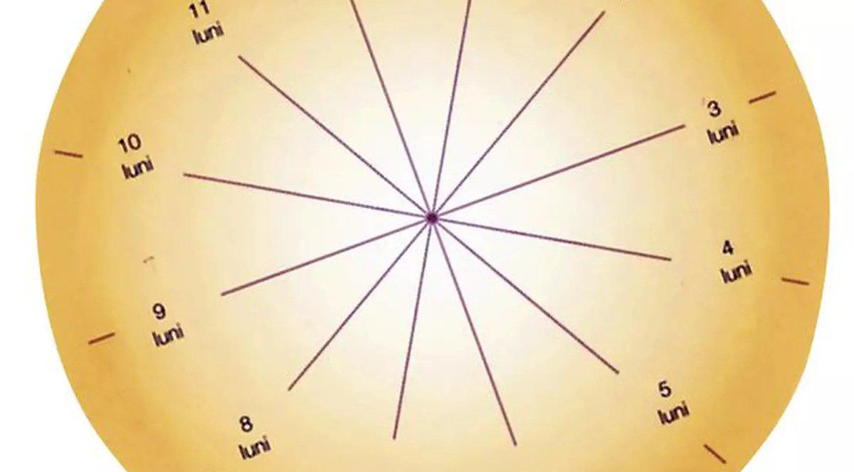 Ştii că poţi să-ţi ghiceşti viitorul în ceai?