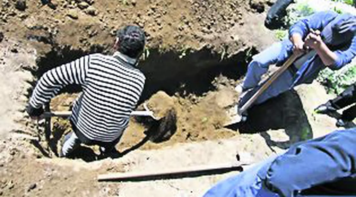 Cioloș vrea să introducă tichetele de muncă! Vezi dacă te încadrezi