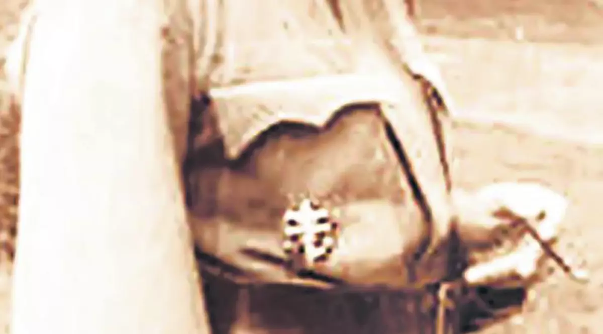 Criminal de război maghiar, omagiat din bani publici