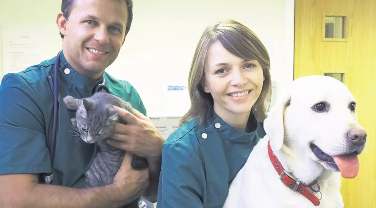 Îi castrăm sau nu?