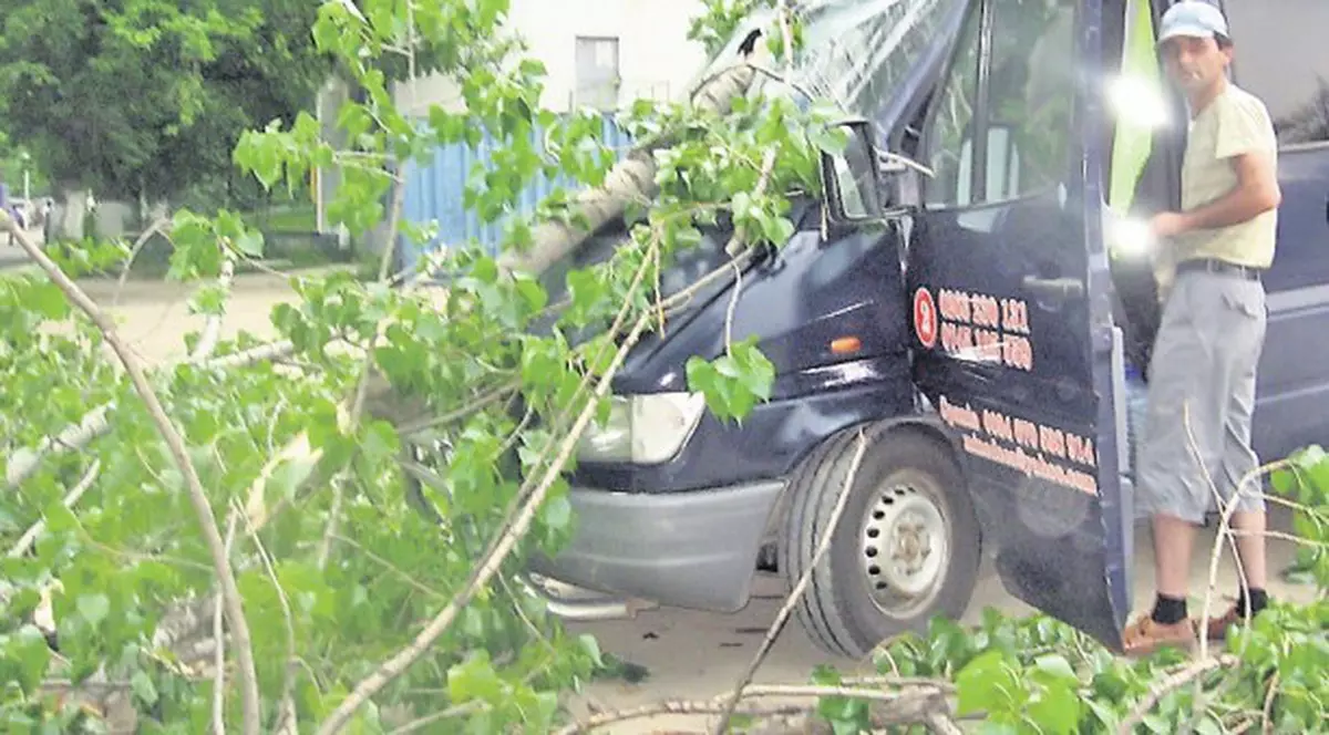 Maşini avariate şi pomi smulşi în timpul unei furtuni puternice la Craiova