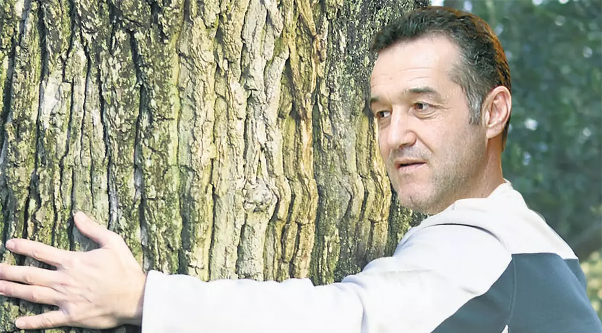 Gigi Becali a mai scos o «perlă»: «Fac dragoste cu pomii!»
