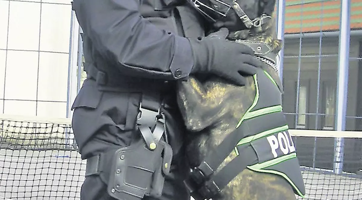 Câinii-poliţişti trimit tâlharii după gratii