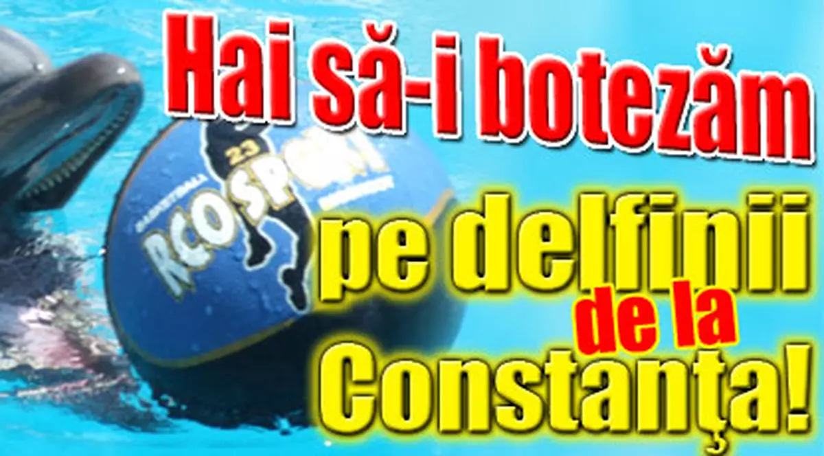 Hai să-i botezăm pe delfinii de la Constanţa!