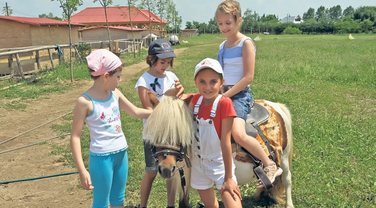 Iată câteva locuri unde poţi hrăni animalele sau să te joci cu ele